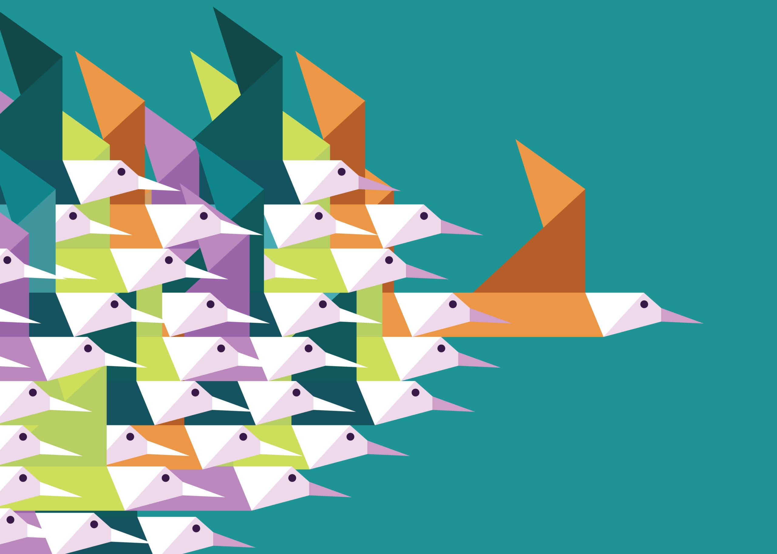 What Leaders Can Learn From A Flock Of Birds About The Balance Between  Leading And Following